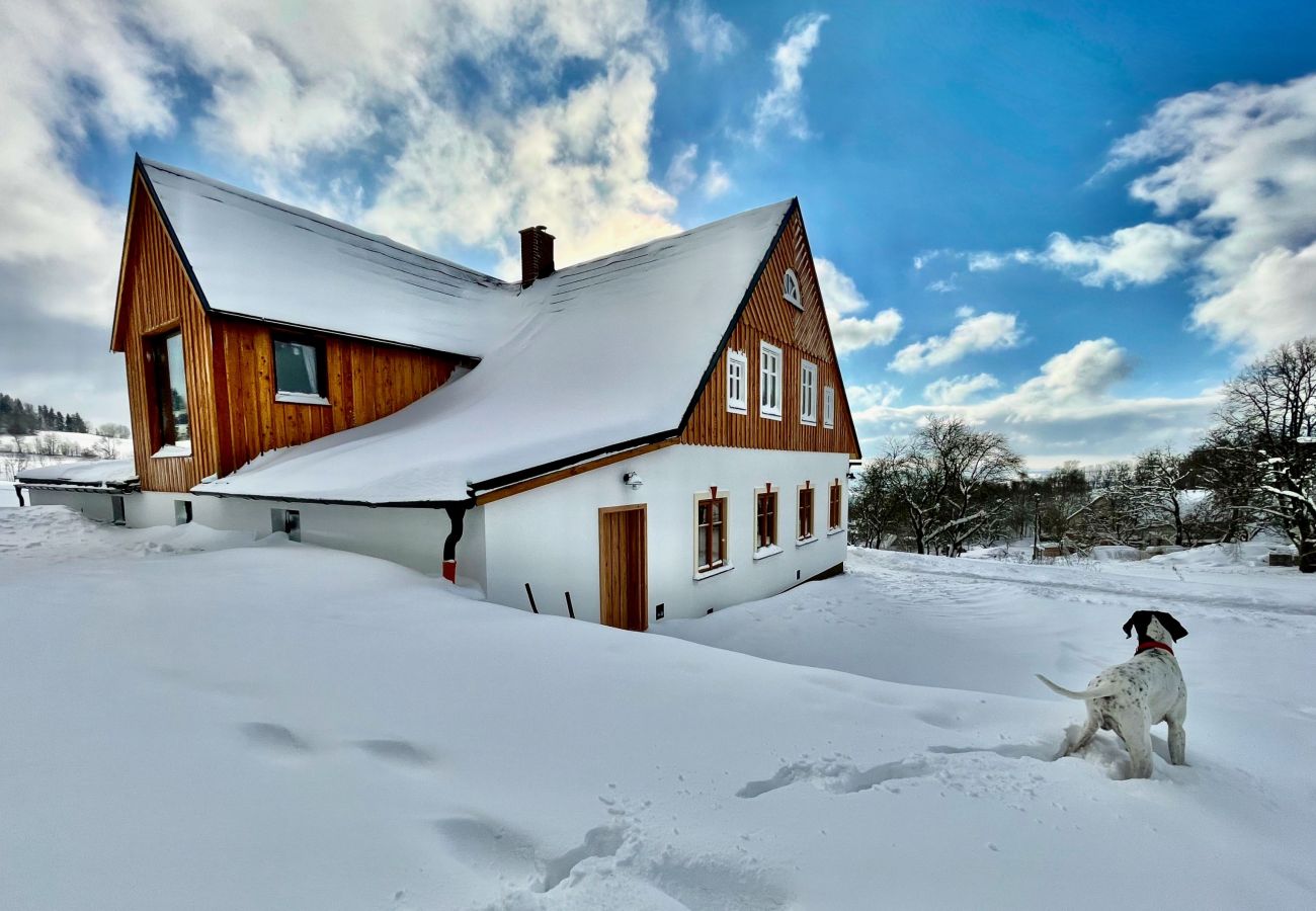 Villa à Víchová nad Jizerou - Víchová nad Jizerou LVV033