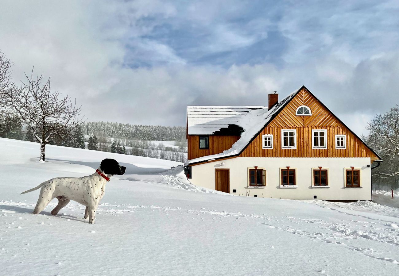 Villa à Víchová nad Jizerou - Víchová nad Jizerou LVV033