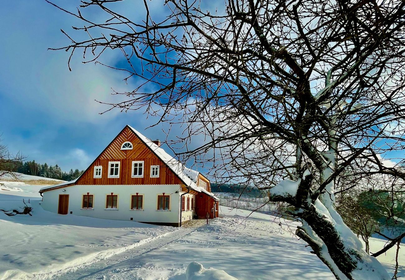 Villa à Víchová nad Jizerou - Víchová nad Jizerou LVV033