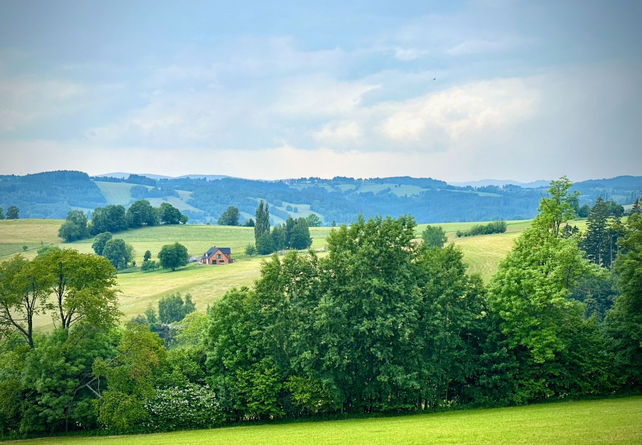 Villa à Víchová nad Jizerou - Víchová nad Jizerou LVV033