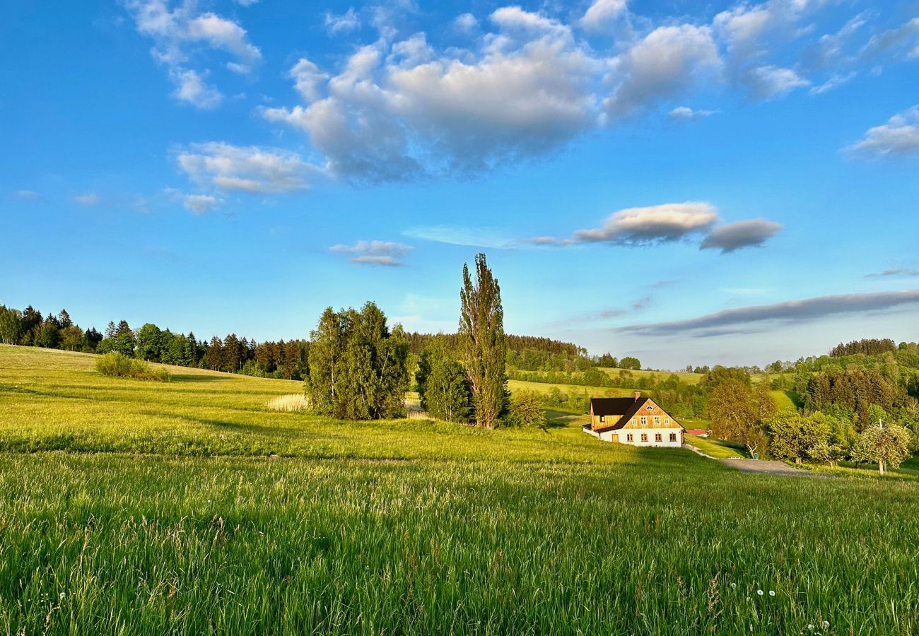 Villa à Víchová nad Jizerou - Víchová nad Jizerou LVV033