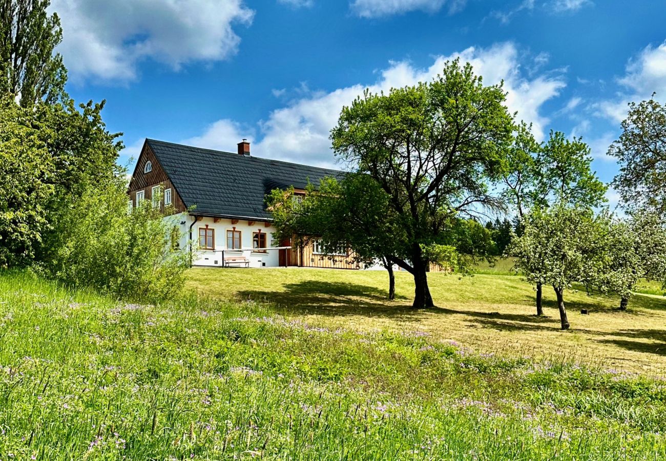 Villa à Víchová nad Jizerou - Víchová nad Jizerou LVV033