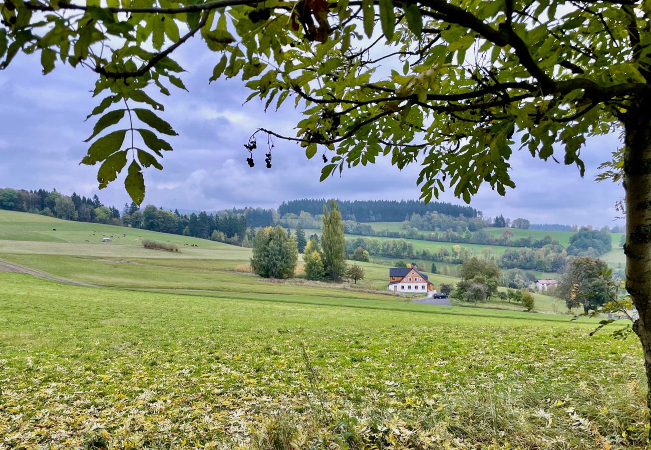 Villa à Víchová nad Jizerou - Víchová nad Jizerou LVV033