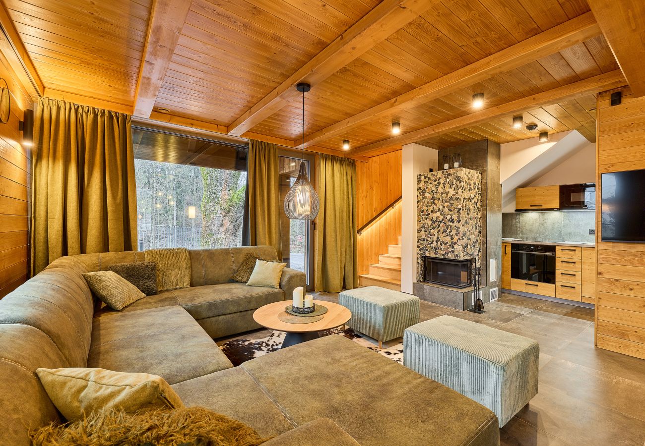 Villa à Cerný Dul - Luxury villa+Pool in Cerny Dul KCMC116