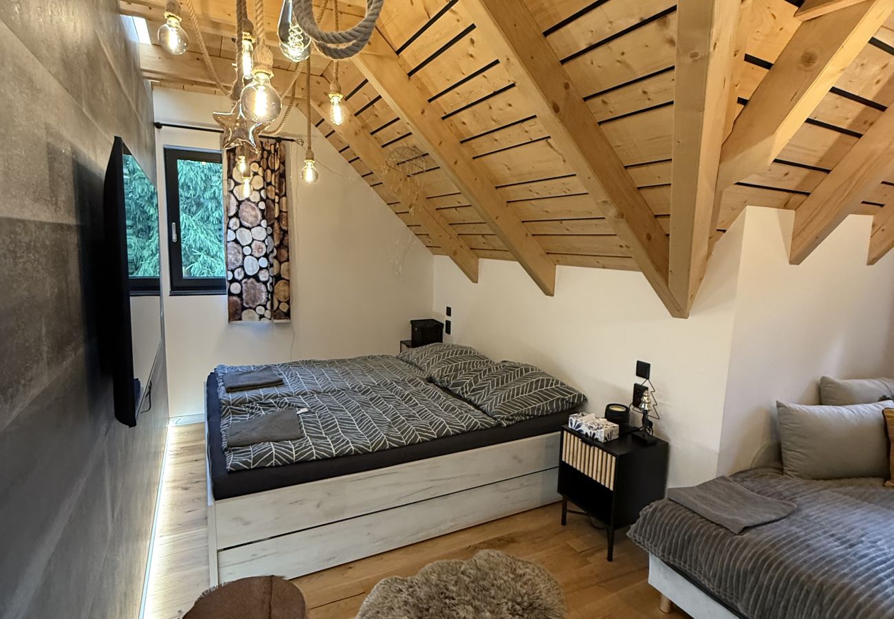 Villa à Jiretín pod Bukovou - LJJ060