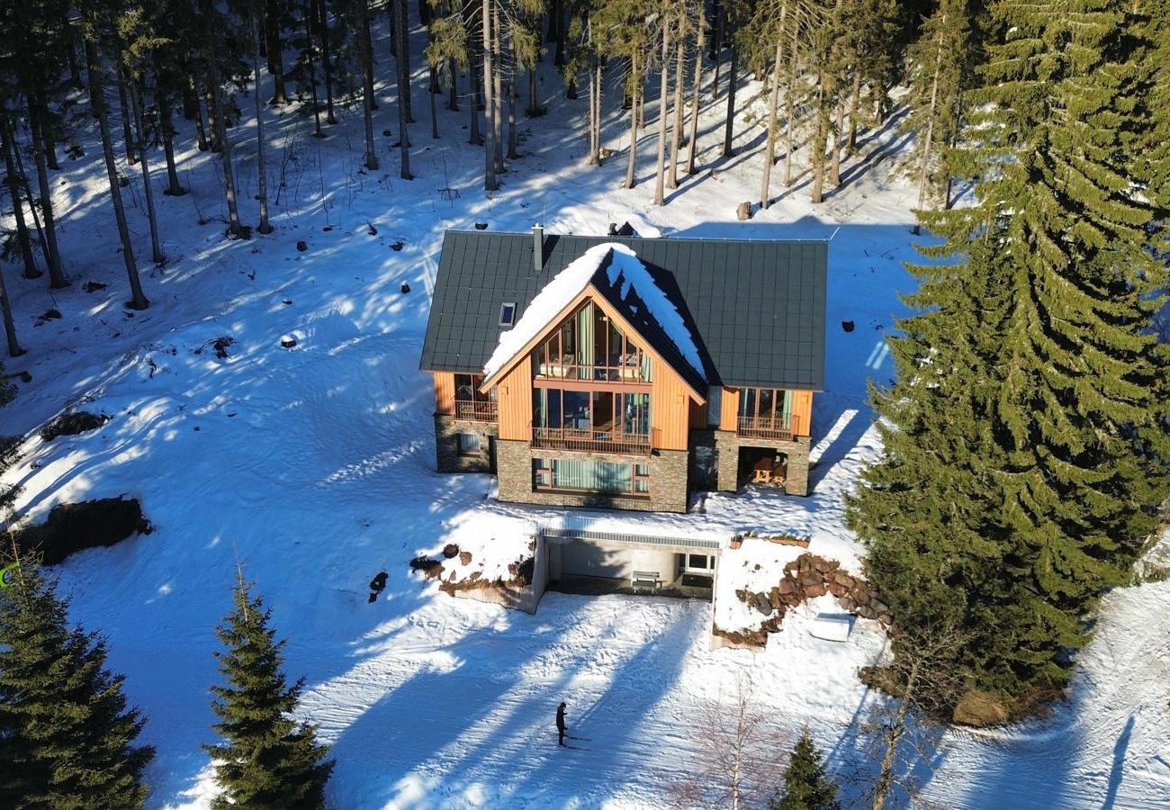 Villa à Vítkovice - Vitkovice LHM015