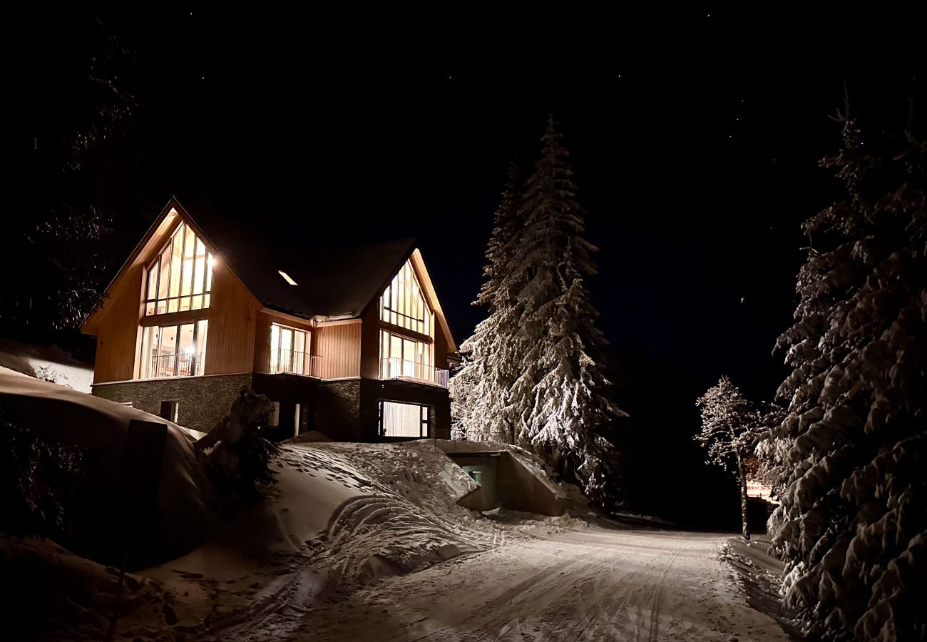 Villa à Vítkovice - Vitkovice LHM015