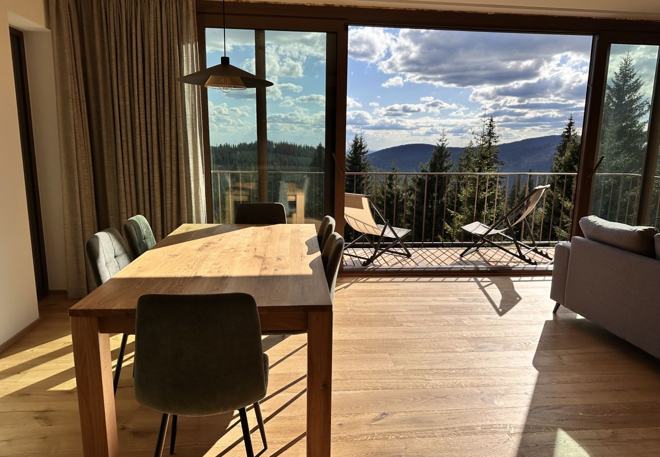 Villa à Vítkovice - Vitkovice LHM015