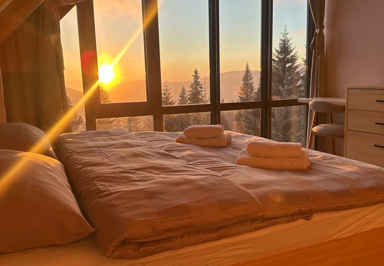 Villa à Vítkovice - Vitkovice LHM015