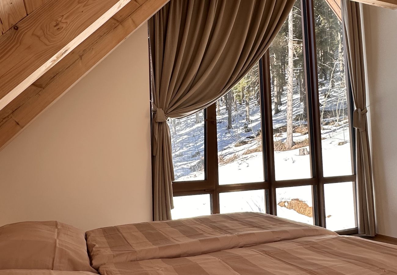 Villa à Vítkovice - Vitkovice LHM015