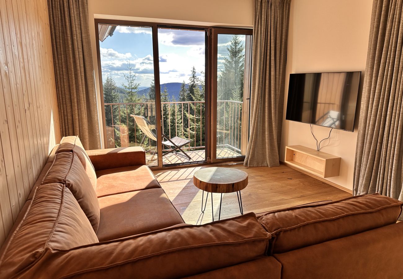 Villa à Vítkovice - Vitkovice LHM015