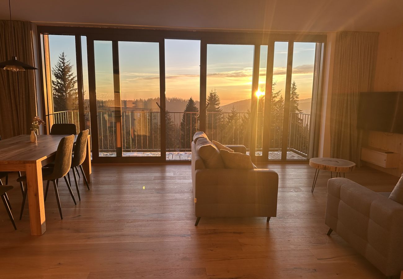 Villa à Vítkovice - Vitkovice LHM015