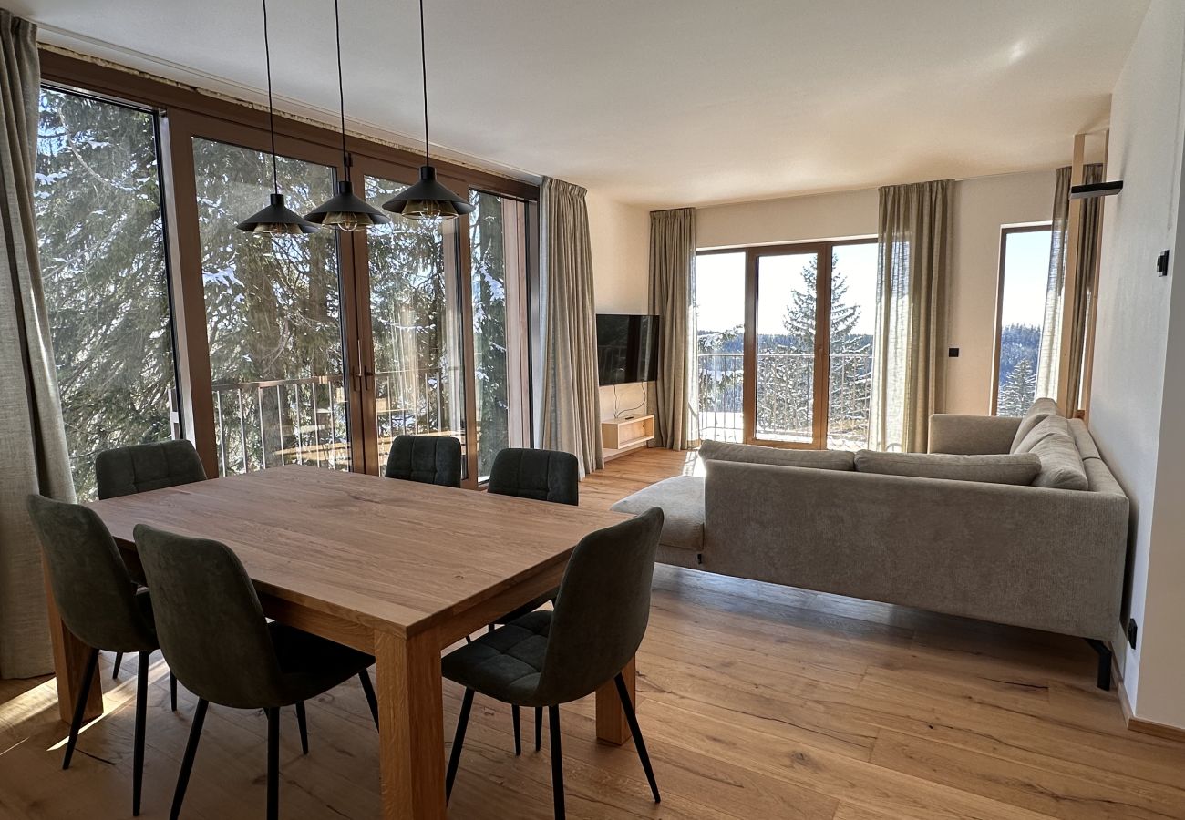 Villa à Vítkovice - Vitkovice LHM015