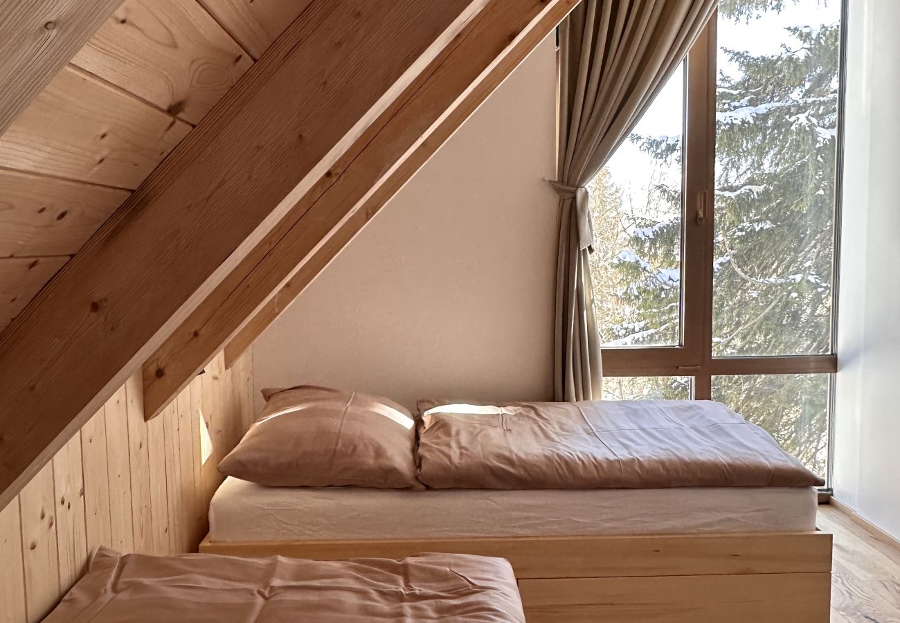 Villa à Vítkovice - Vitkovice LHM015