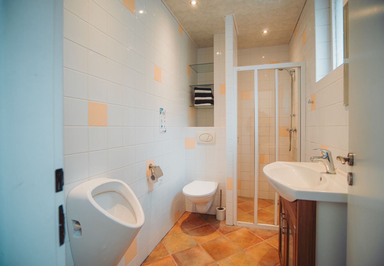 Villa à Staré Hobzí - SJL163 Jindřichův Hradec