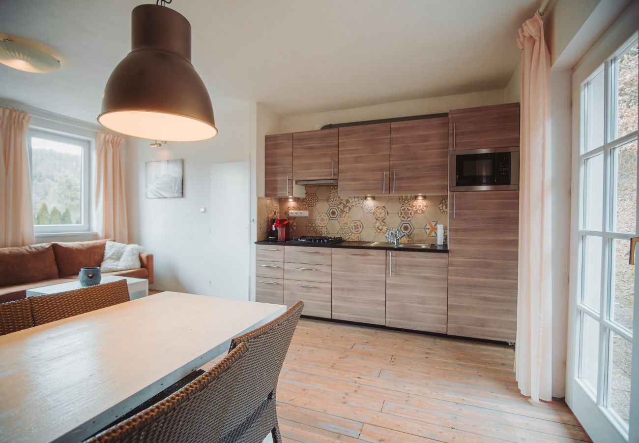 Villa à Staré Hobzí - SJL163 Jindřichův Hradec