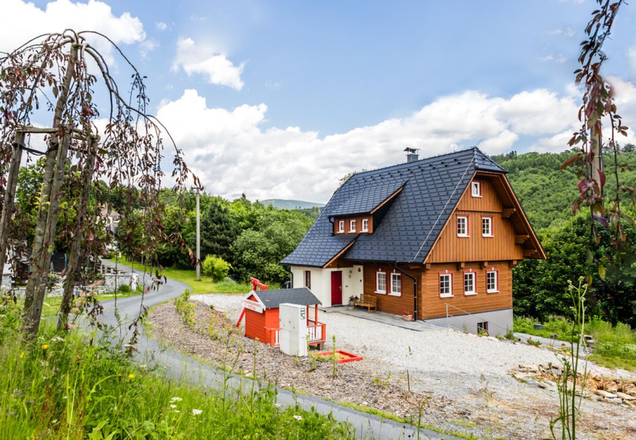 Villa à Branná - MBK171