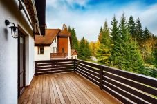 Villa in Harrachov - Harrachov LHJE260