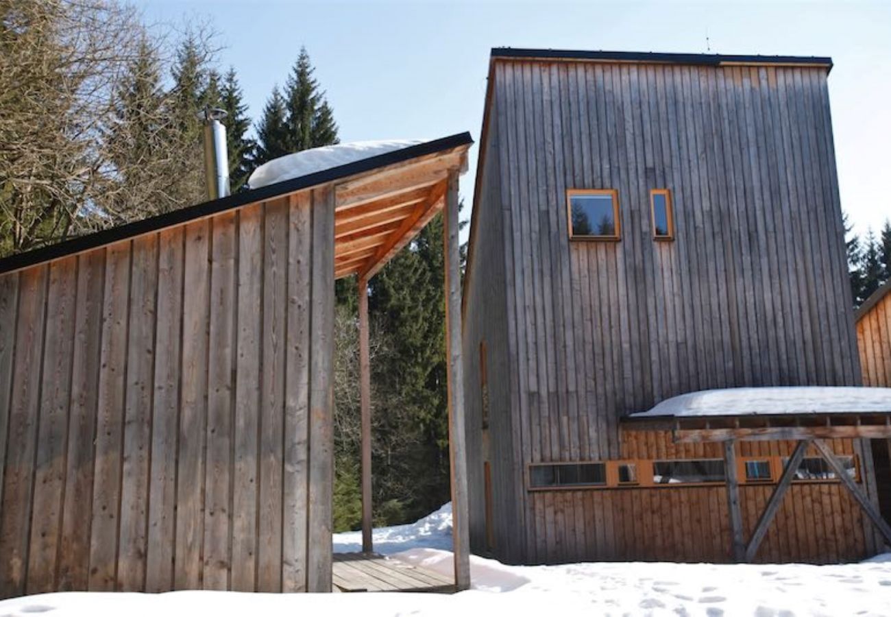 Villa in Harrachov - Harrachov LHS420