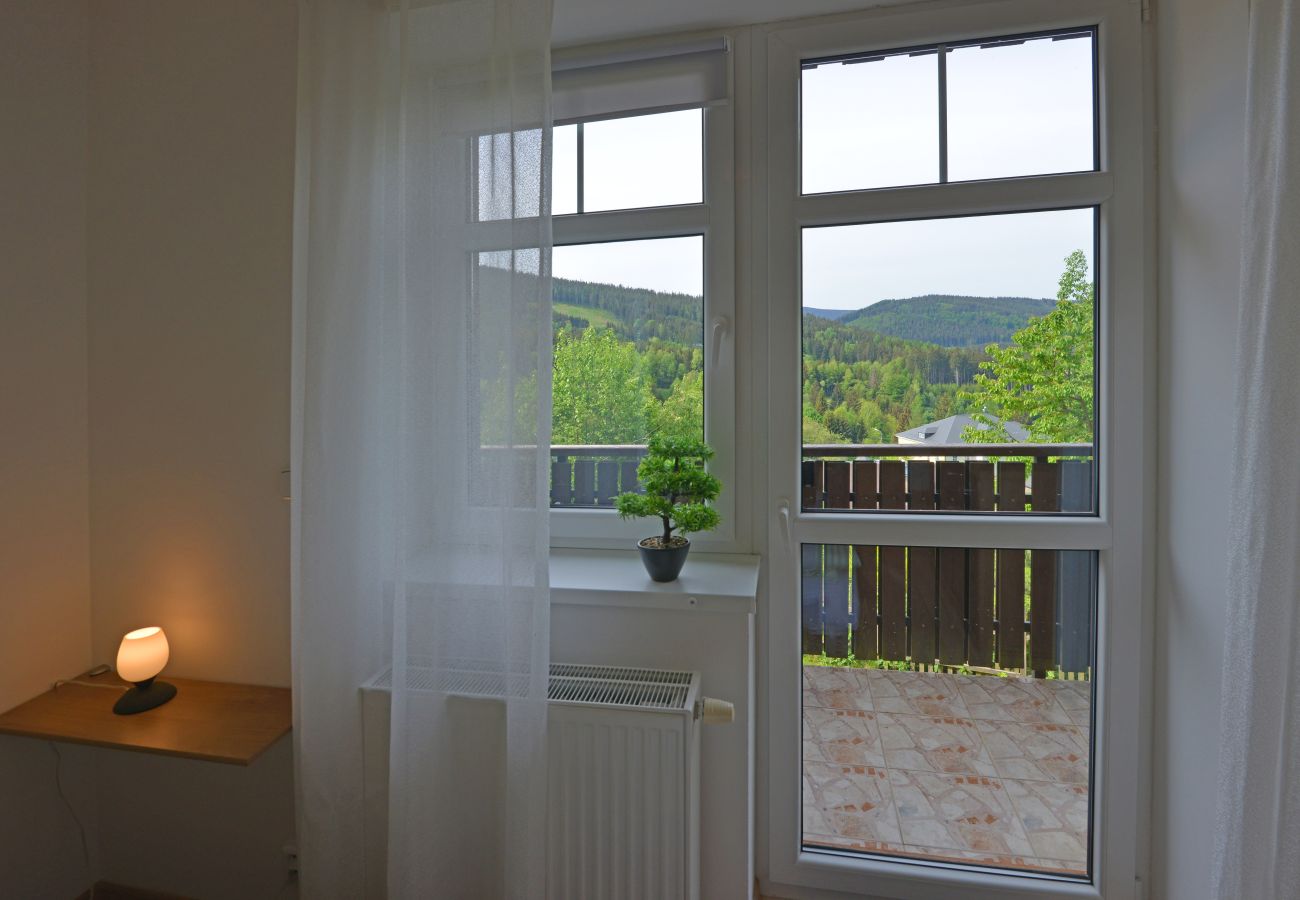 Villa in Albrechtice v Jizerských horách - Albrechtice LAQ016