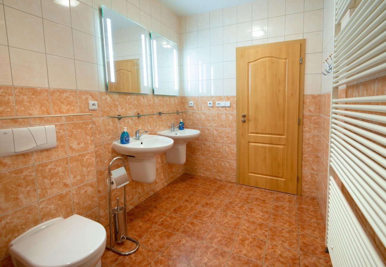 Villa in Albrechtice v Jizerských horách - Albrechtice LAQ016