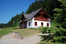 Villa in Vidochov - Stupna KSF095