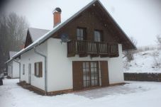 Villa in Rudník - Javornik KJH332