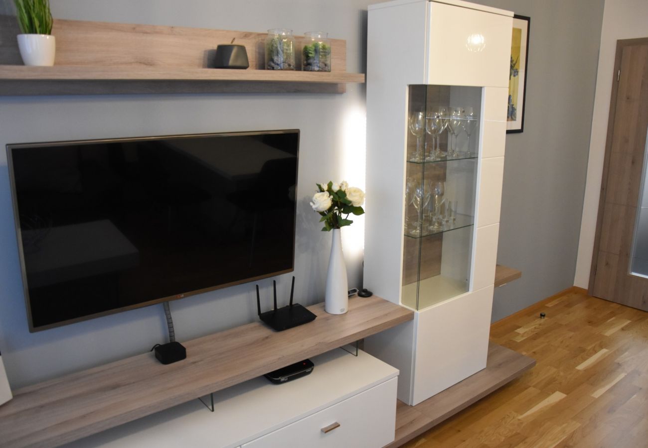 Appartement in Cerný Dul - Cerny Dul KCT100