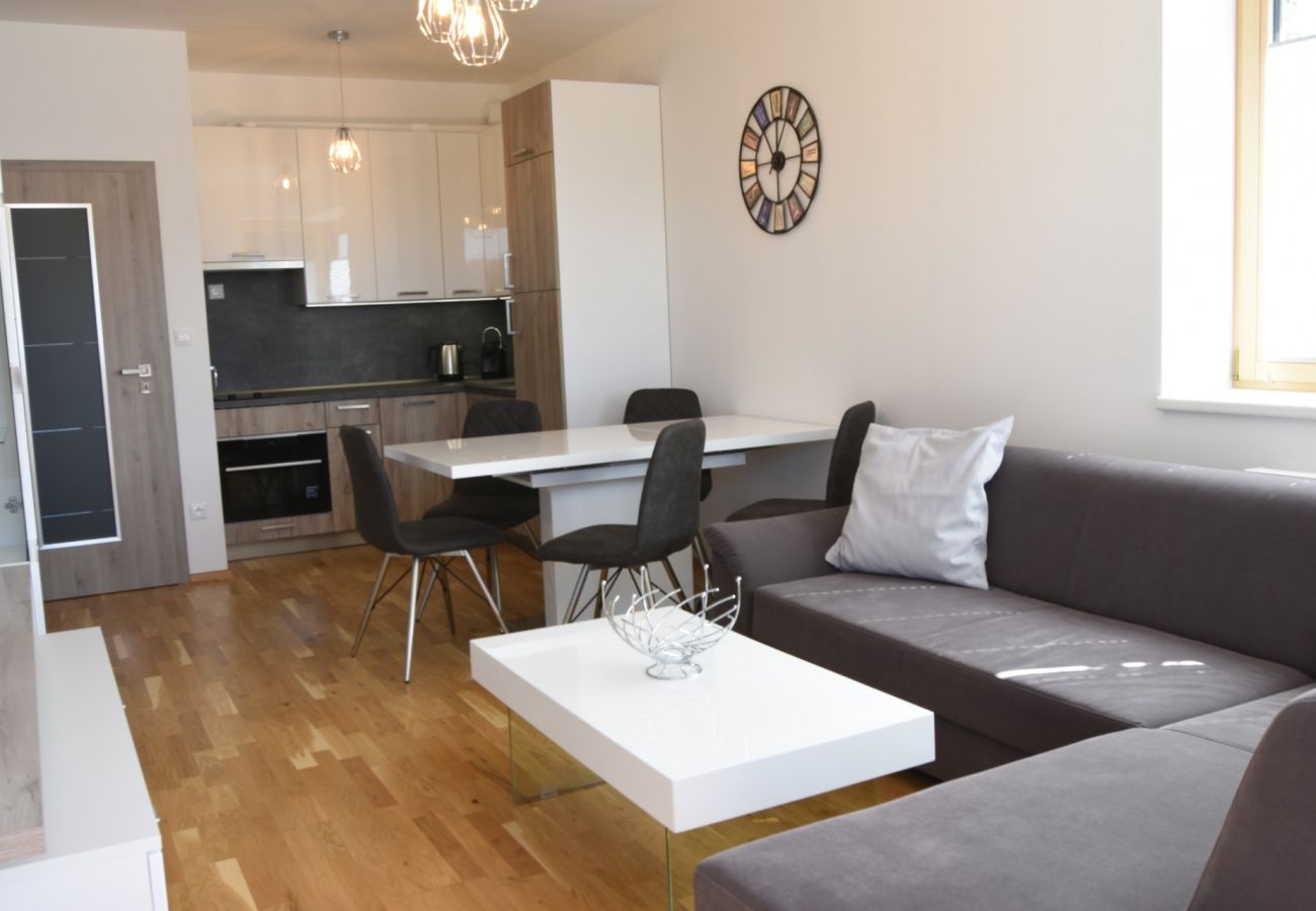 Appartement in Cerný Dul - Cerny Dul KCT100