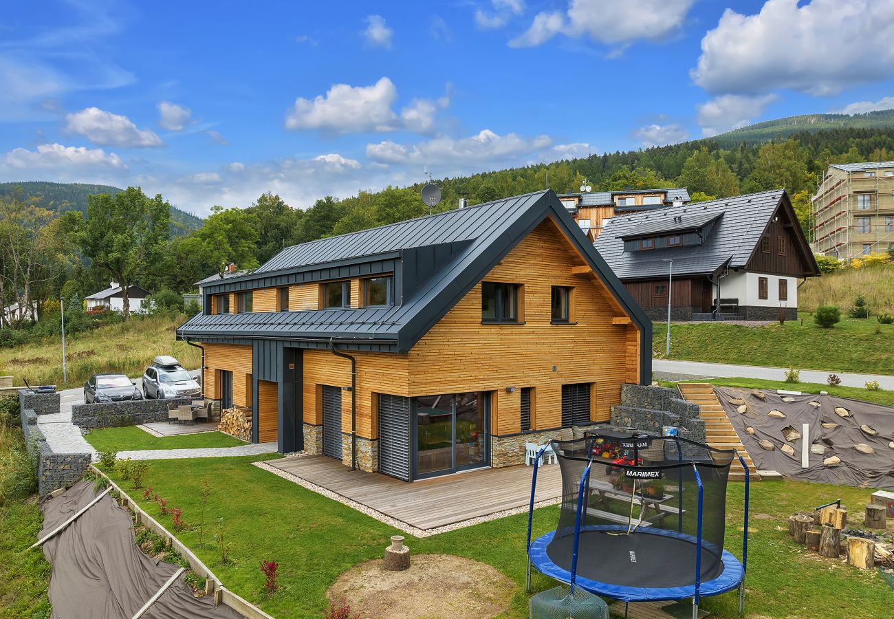 Villa in Cerný Dul - Cerny Dul KCD110