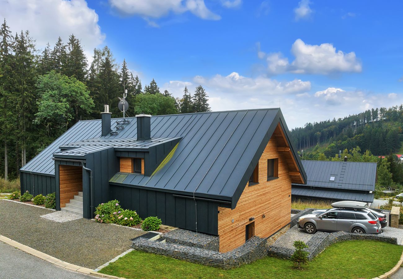 Villa in Cerný Dul - Cerny Dul KCD110