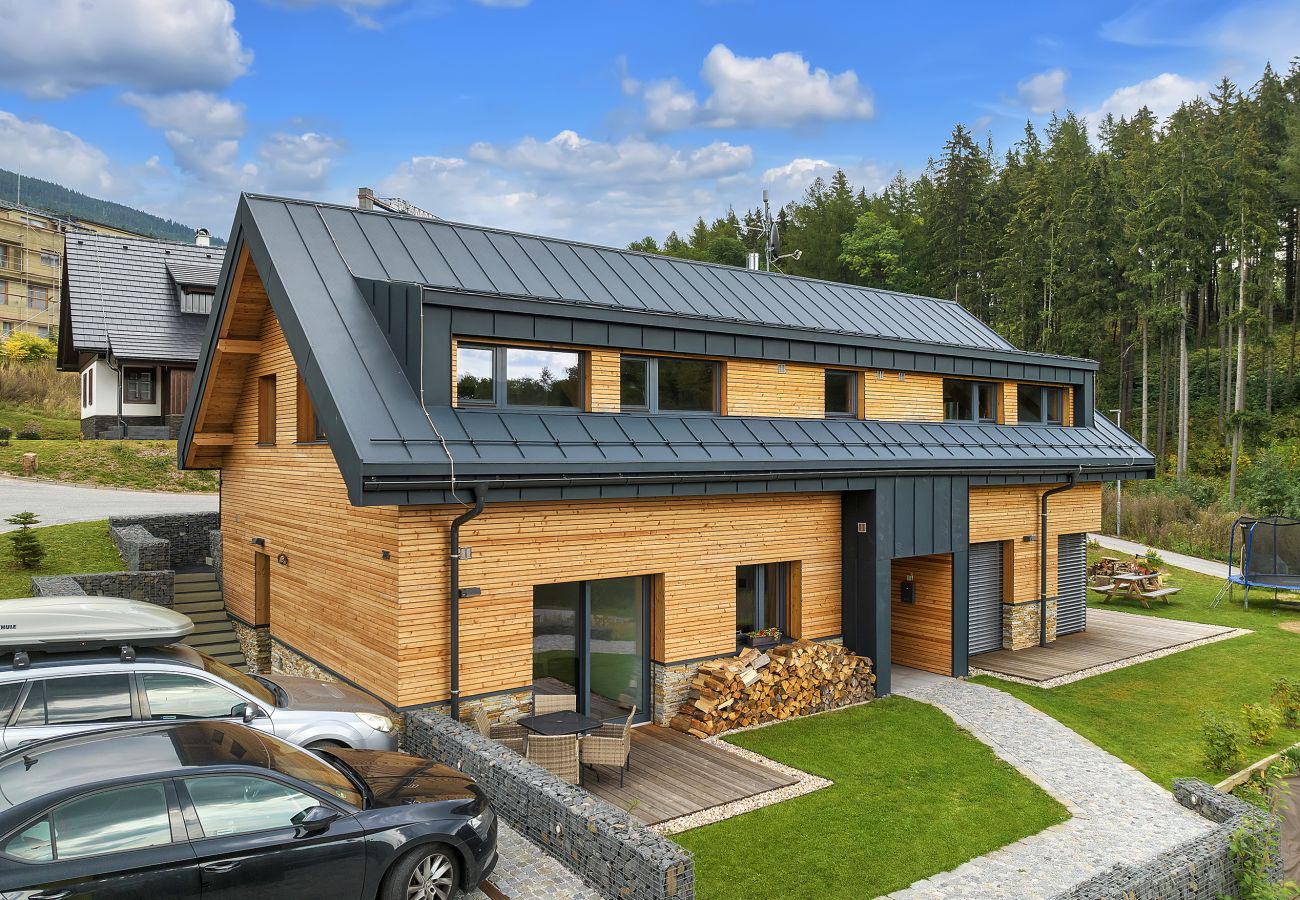 Villa in Cerný Dul - Cerny Dul KCD110