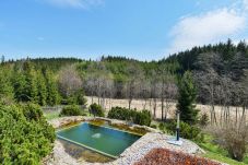 Villa in Stará Ríše - Telc VNK017