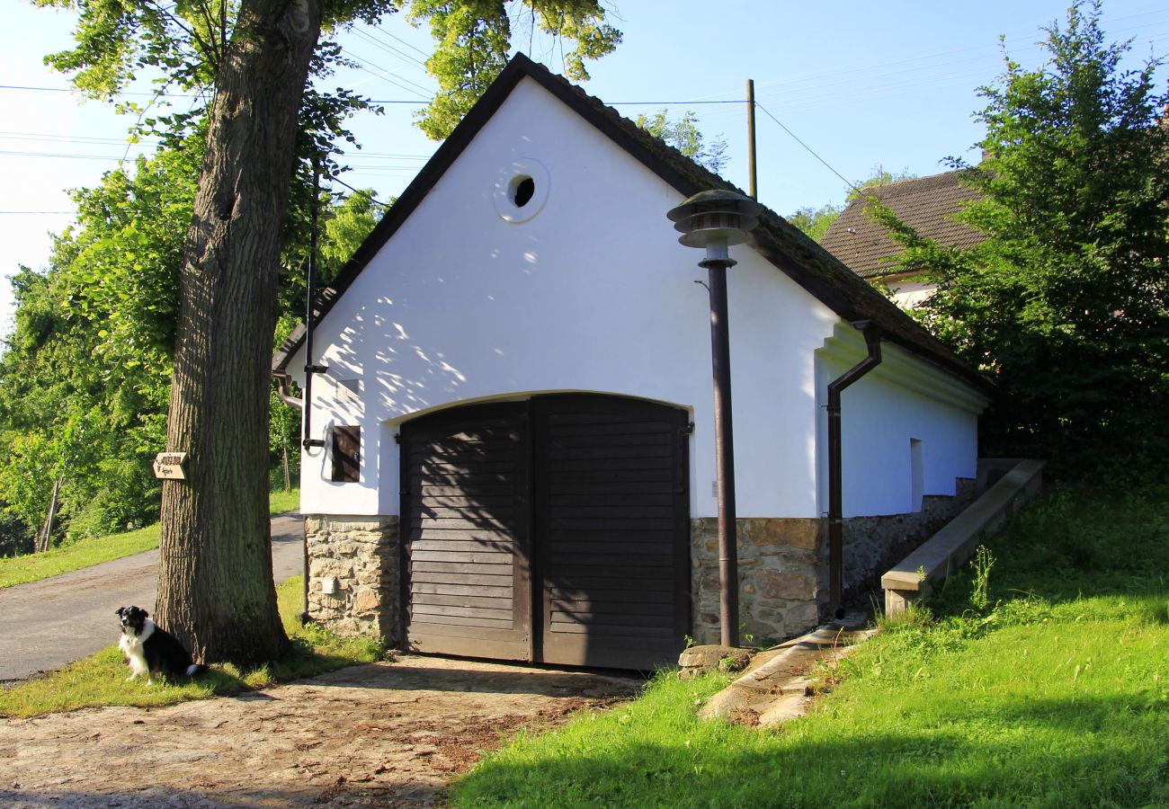 Villa in Býšovec - Pernstejn VPM019