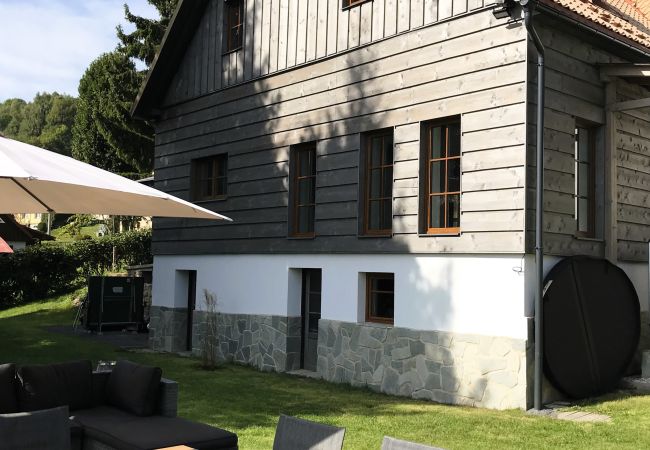 Villa in Tanvald - Tanvald LSH141