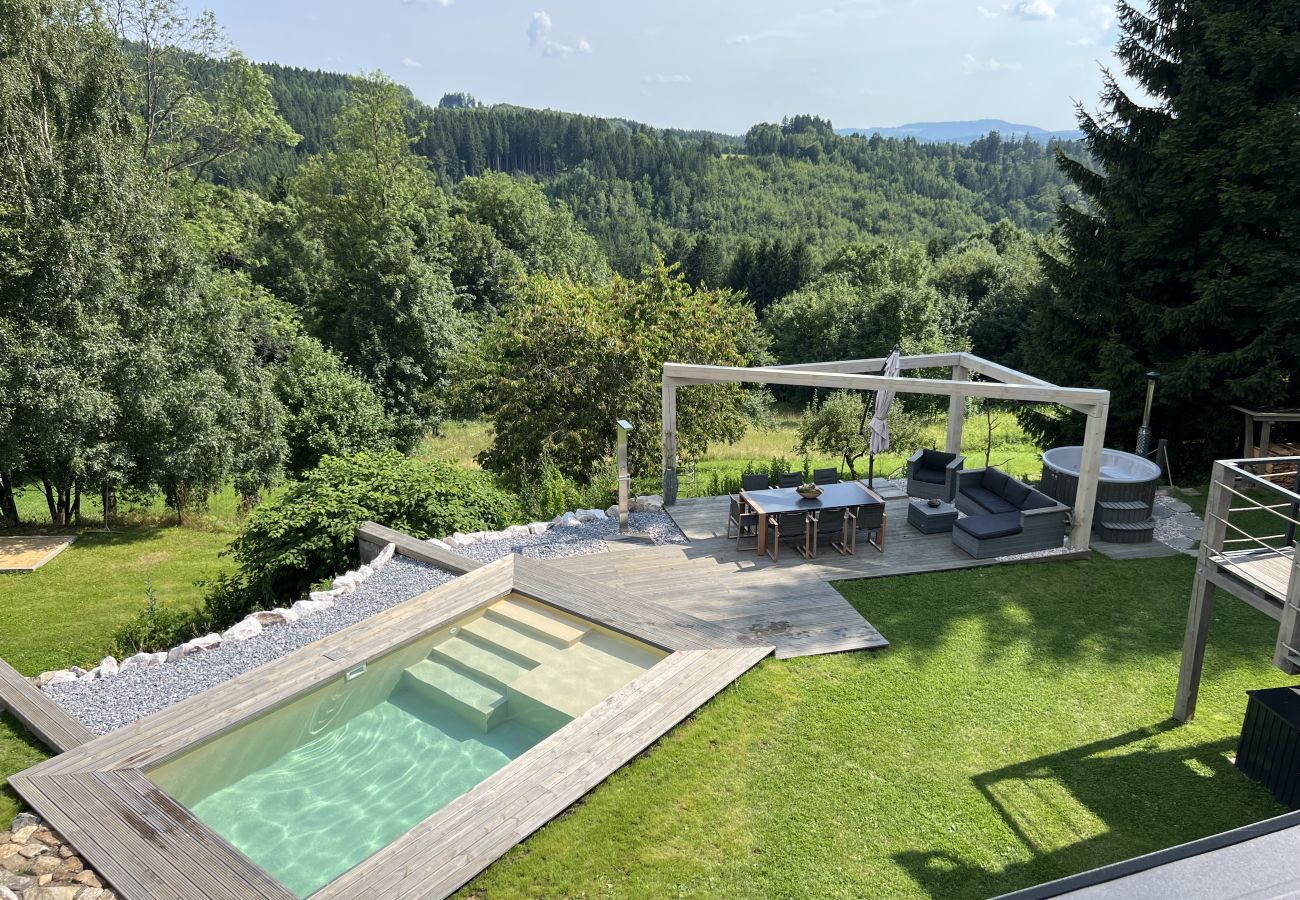 Villa in Tanvald - Tanvald LSH141