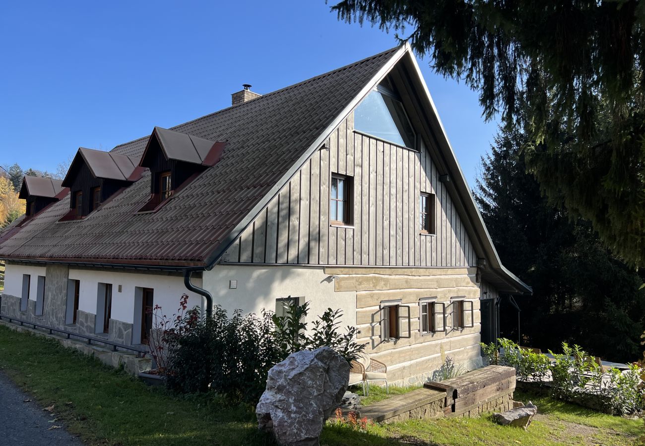 Villa in Tanvald - Tanvald LSH141