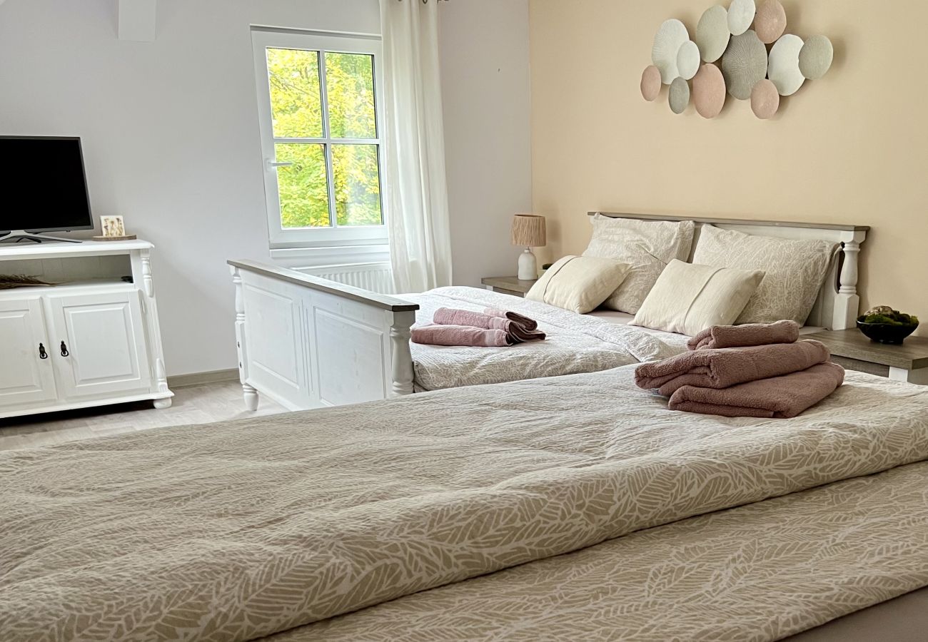 Villa in Tanvald - Tanvald LSH141