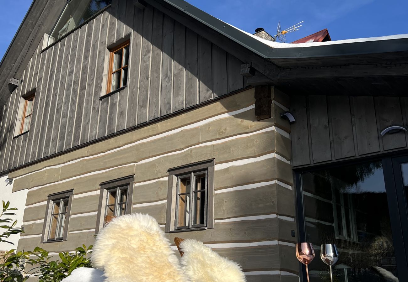 Villa in Tanvald - Tanvald LSH141