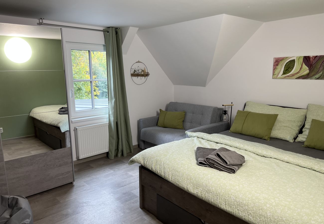 Villa in Tanvald - Tanvald LSH141