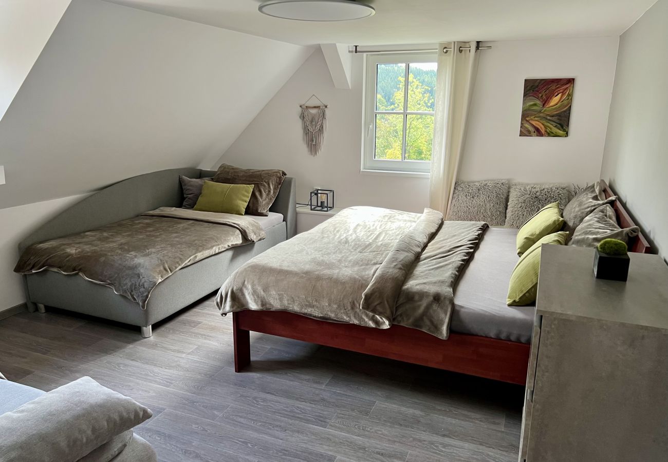 Villa in Tanvald - Tanvald LSH141