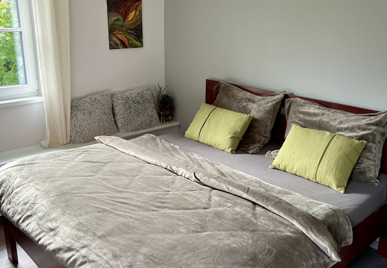 Villa in Tanvald - Tanvald LSH141