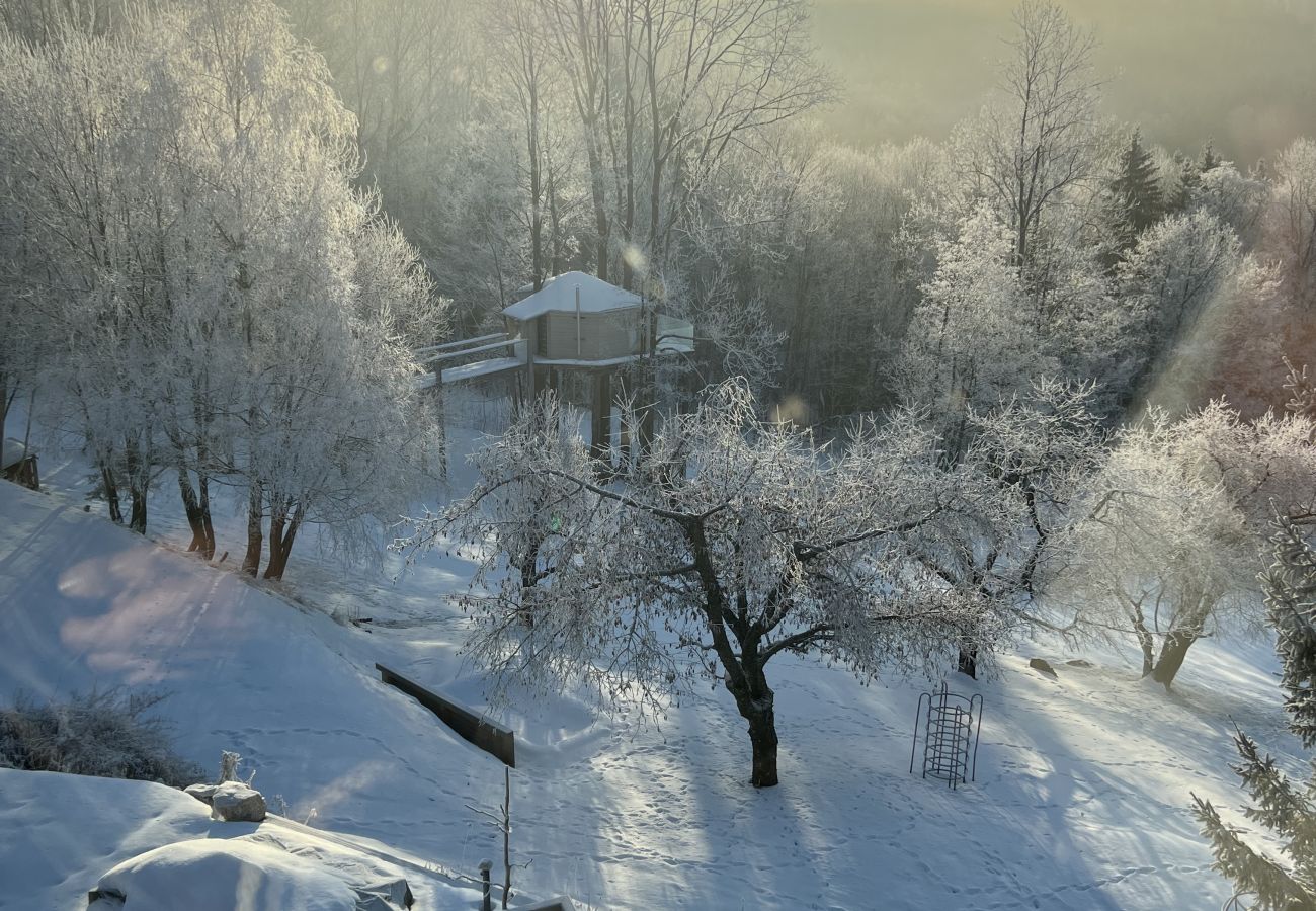 Villa in Tanvald - Tanvald LSH141