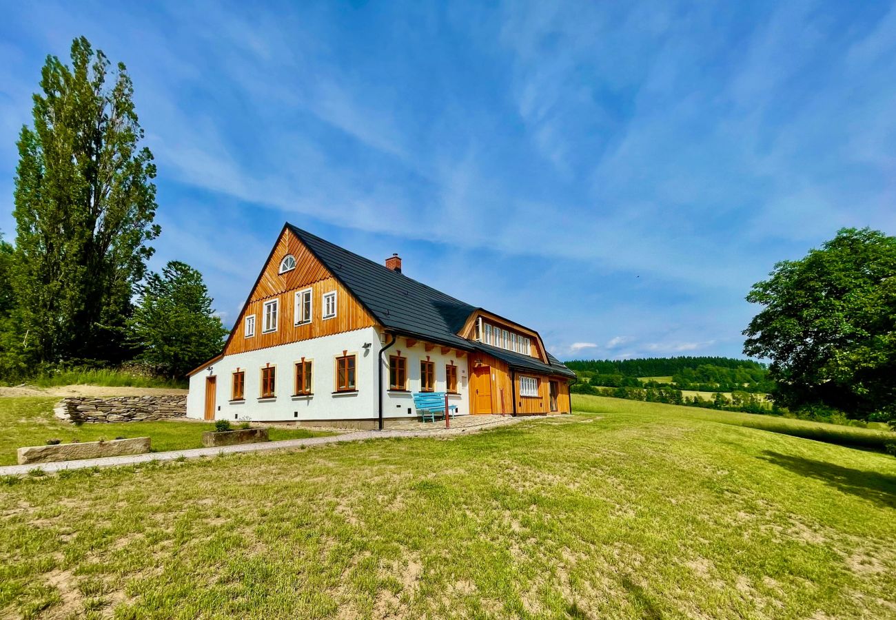 Villa in Víchová nad Jizerou - Víchová nad Jizerou LVV033