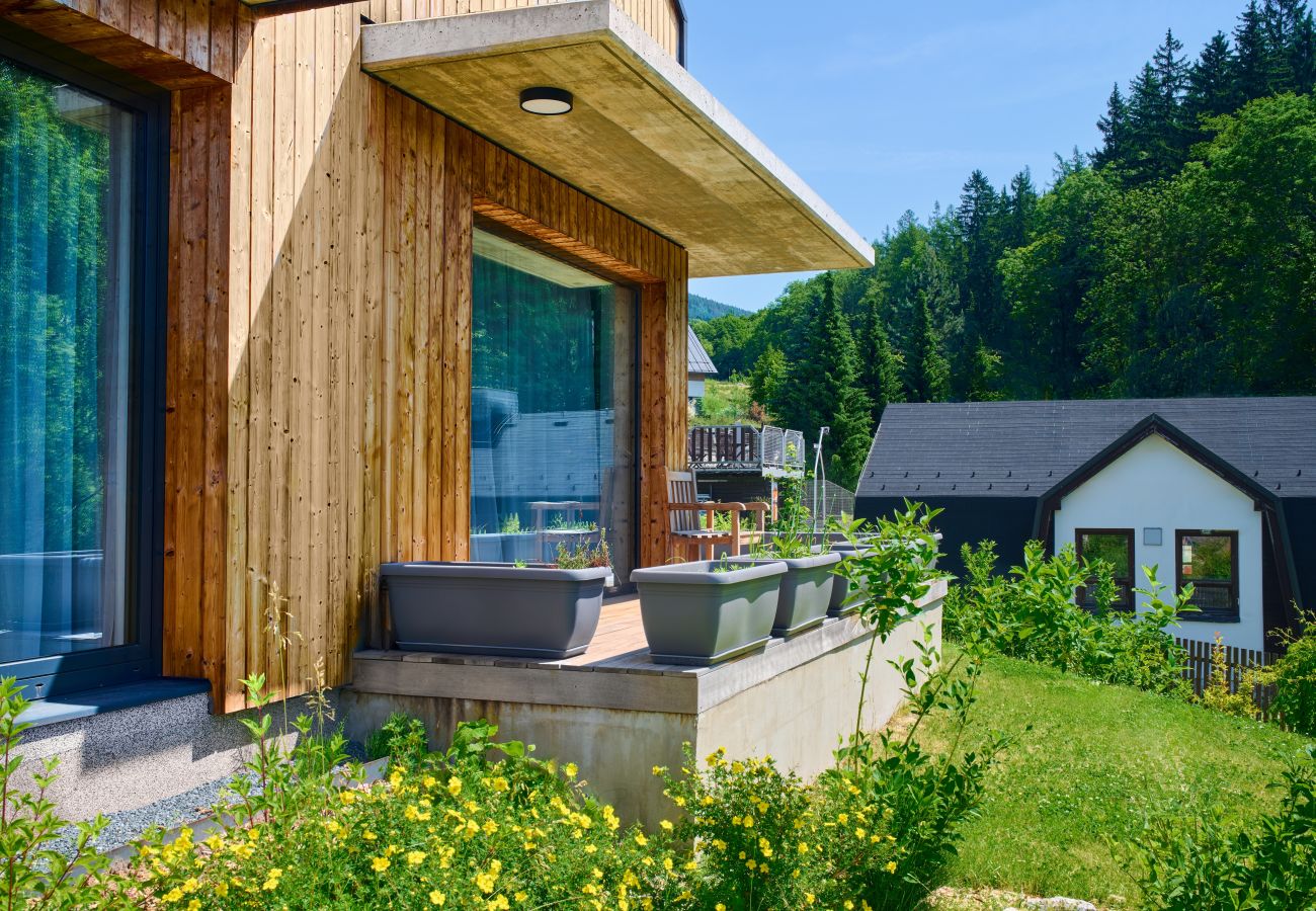 Villa in Cerný Dul - Cerny Dul KCB045 Villa