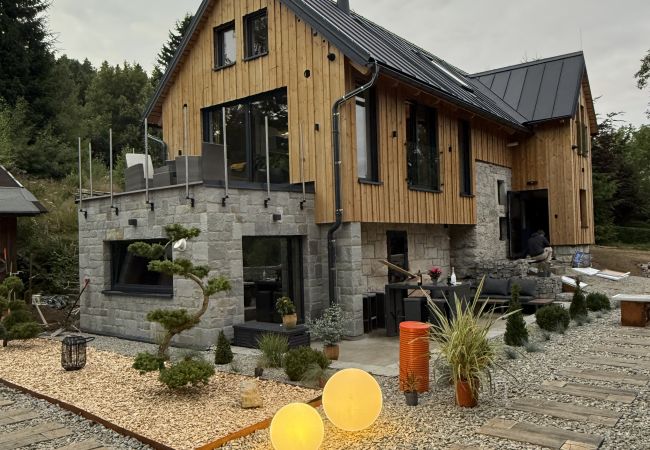 Villa in Jiretín pod Bukovou - Jiretin pod Bukovou, LJJ060