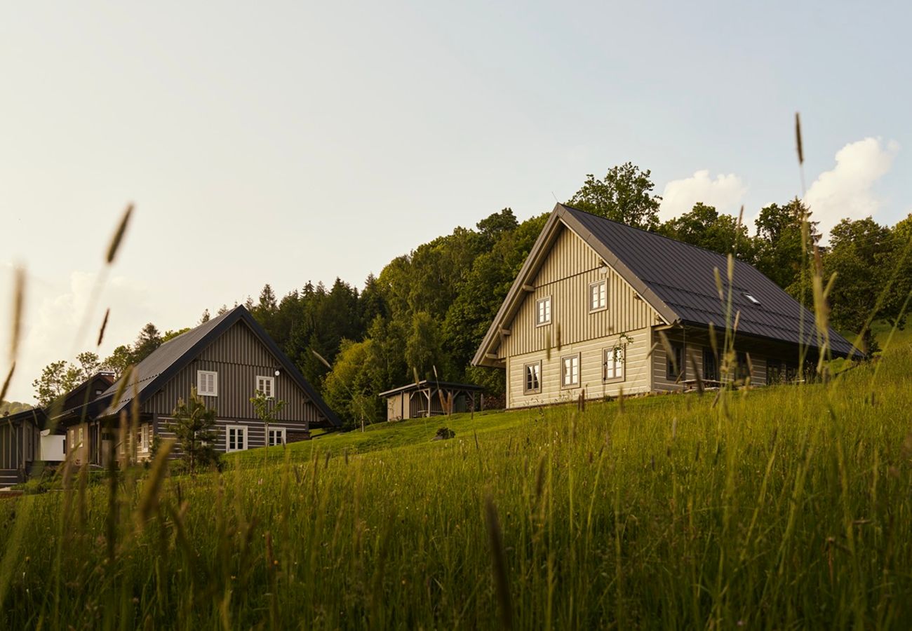 Villa in Roprachtice - Villa Semily LRBRA161