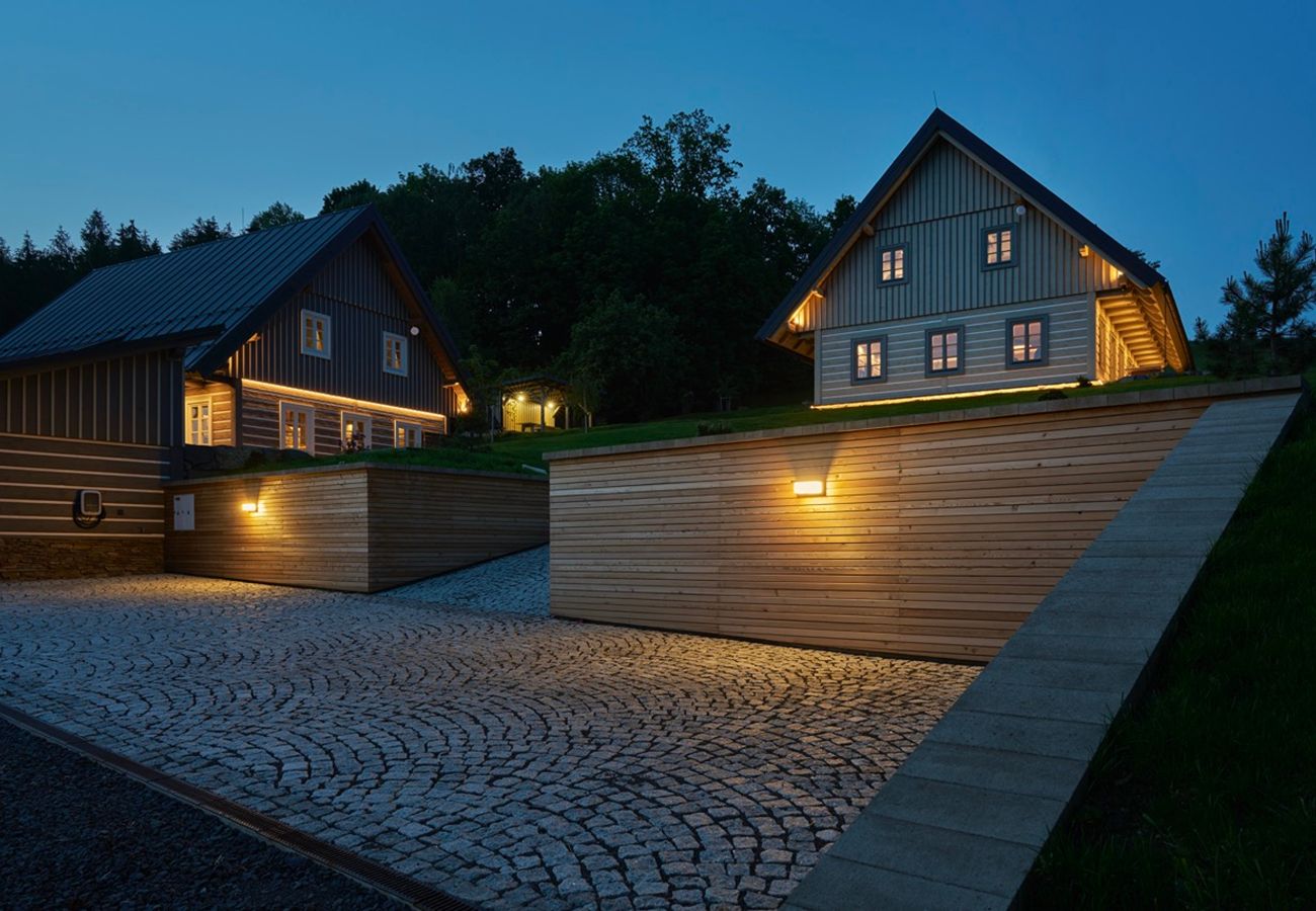 Villa in Roprachtice - Villa Semily LRBRA161