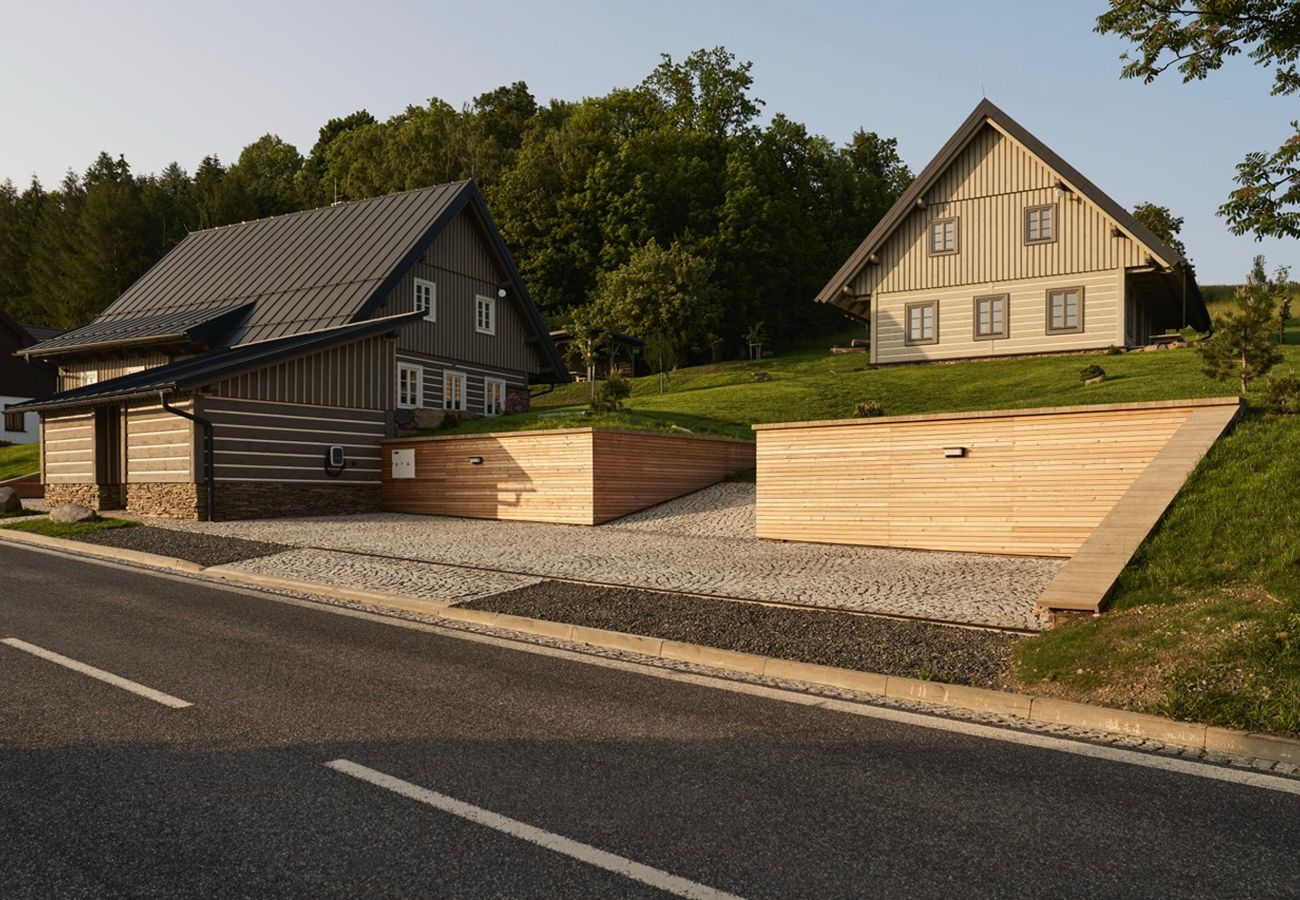 Villa in Roprachtice - Villa Semily LRBDV162