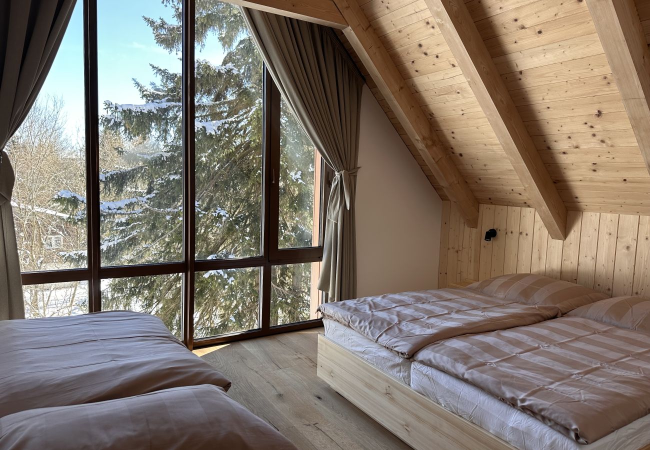 Villa in Vítkovice - Vitkovice LHM015